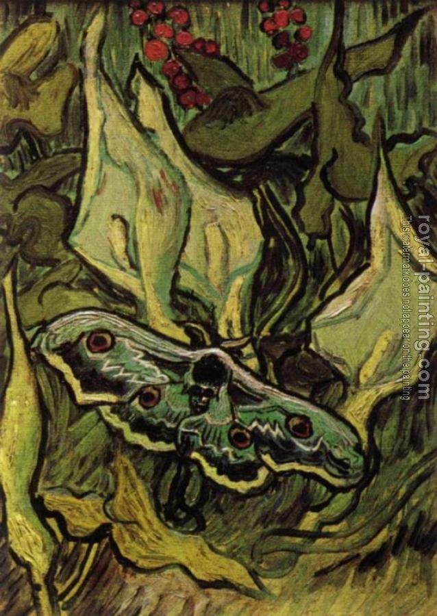 Vincent Van Gogh : Death's Head Moth